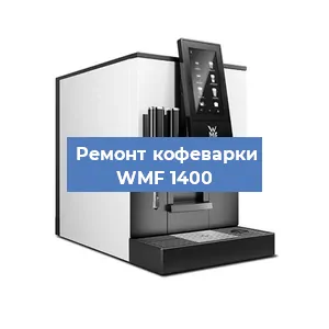 Декальцинация   кофемашины WMF 1400 в Ижевске